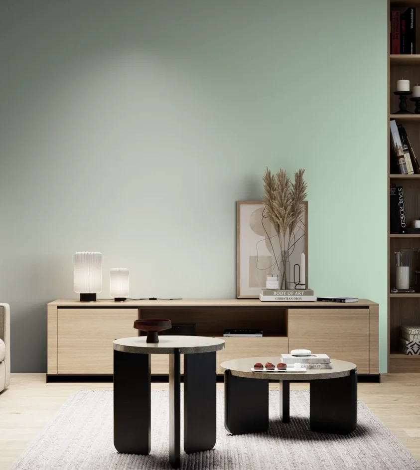 P10_SNIEZKA_salon_05_zimne_GREY_S0515-G