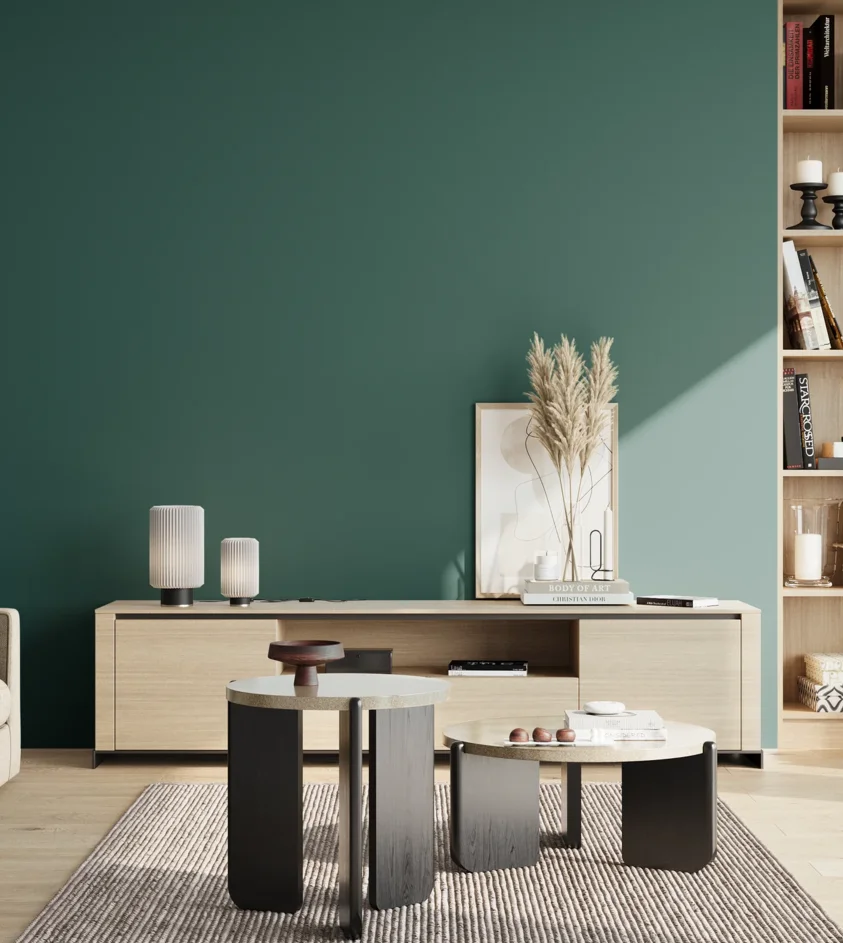 P10_SNIEZKA_salon_02_poludnie_GREY_C73