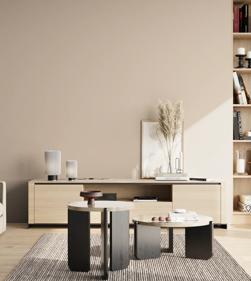 P10_SNIEZKA_salon_02_poludnie_GREY_C79