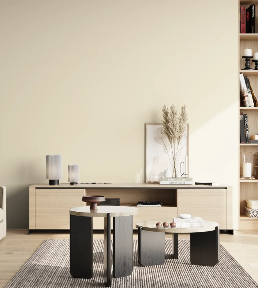 P10_SNIEZKA_salon_02_poludnie_GREY_MP19