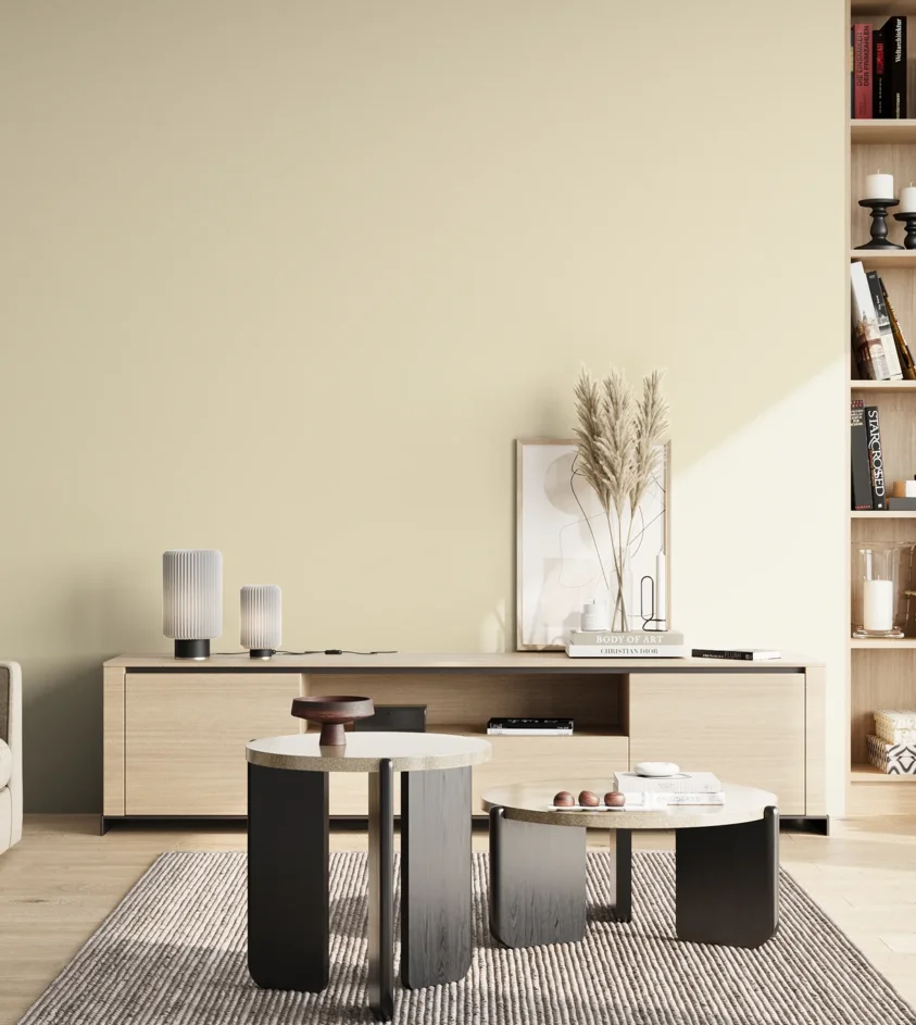 P10_SNIEZKA_salon_02_poludnie_GREY_S0505-Y20R