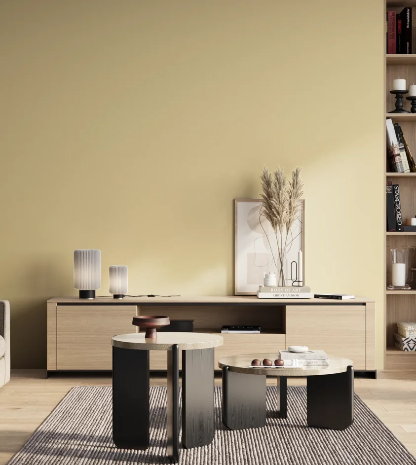P10_SNIEZKA_salon_01_poranek_GREY_S0515-Y10R