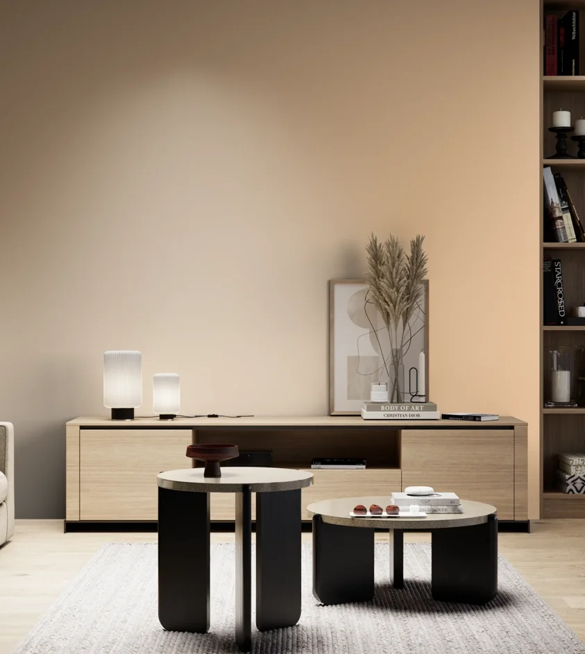 P10_SNIEZKA_salon_05_zimne_GREY_S0520-Y40R