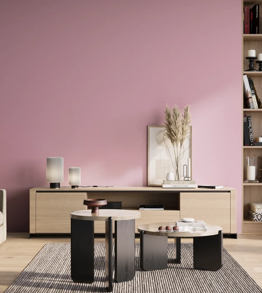 P10_SNIEZKA_salon_01_poranek_GREY_S0530-R30B