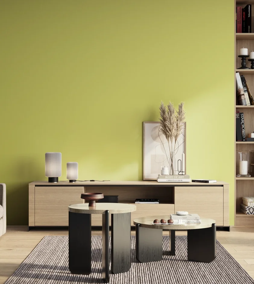 P10_SNIEZKA_salon_01_poranek_GREY_S0540-G70Y