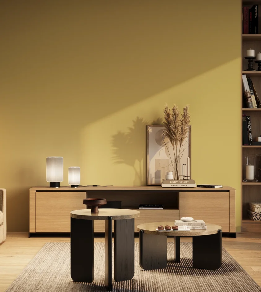 P10_SNIEZKA_salon_03_wieczor_GREY_S0540-Y