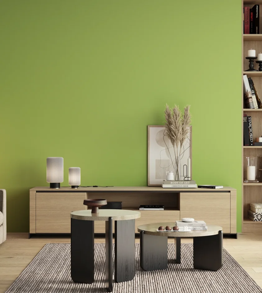 P10_SNIEZKA_salon_00_neutral_GREY_S0550-G40Y