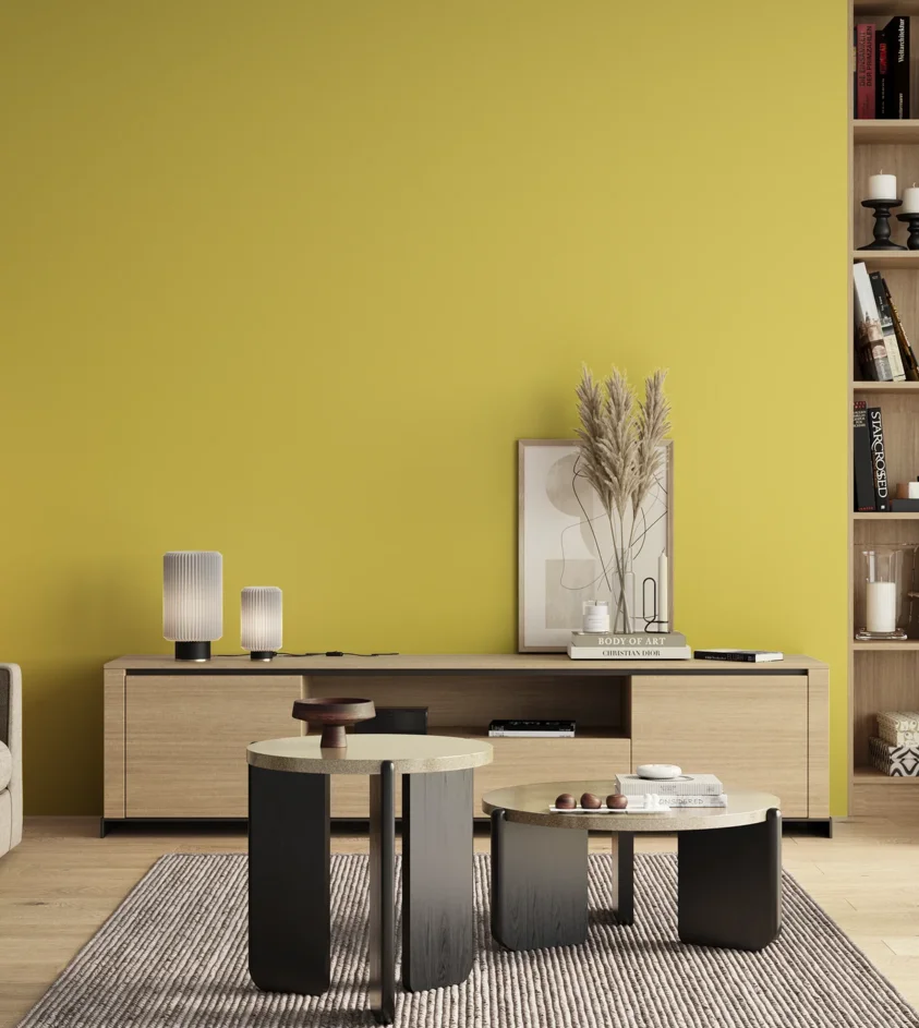 P10_SNIEZKA_salon_00_neutral_GREY_S0550-G90Y