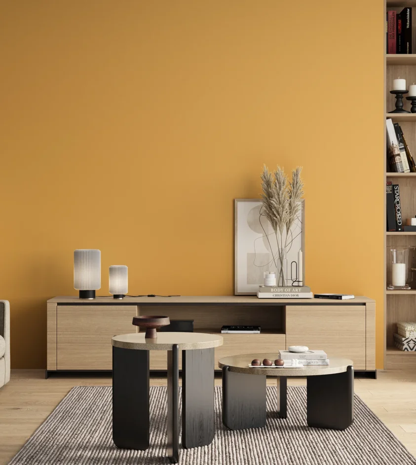 P10_SNIEZKA_salon_00_neutral_GREY_S0550-Y20R