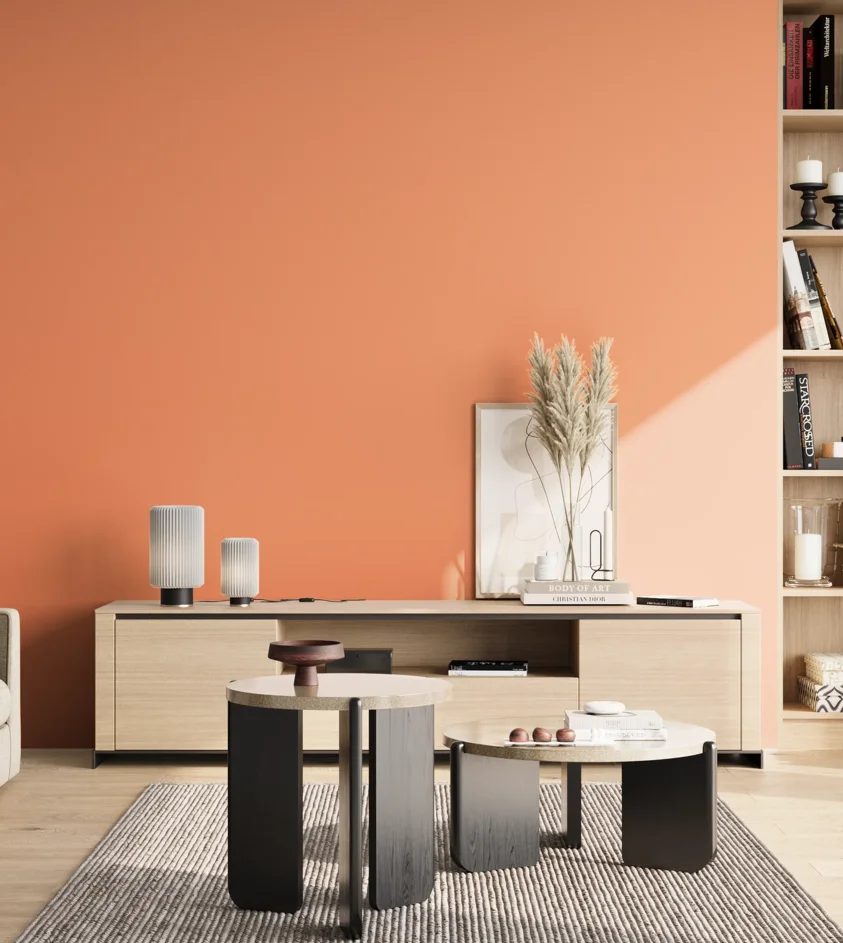 P10_SNIEZKA_salon_02_poludnie_GREY_S0550-Y60R