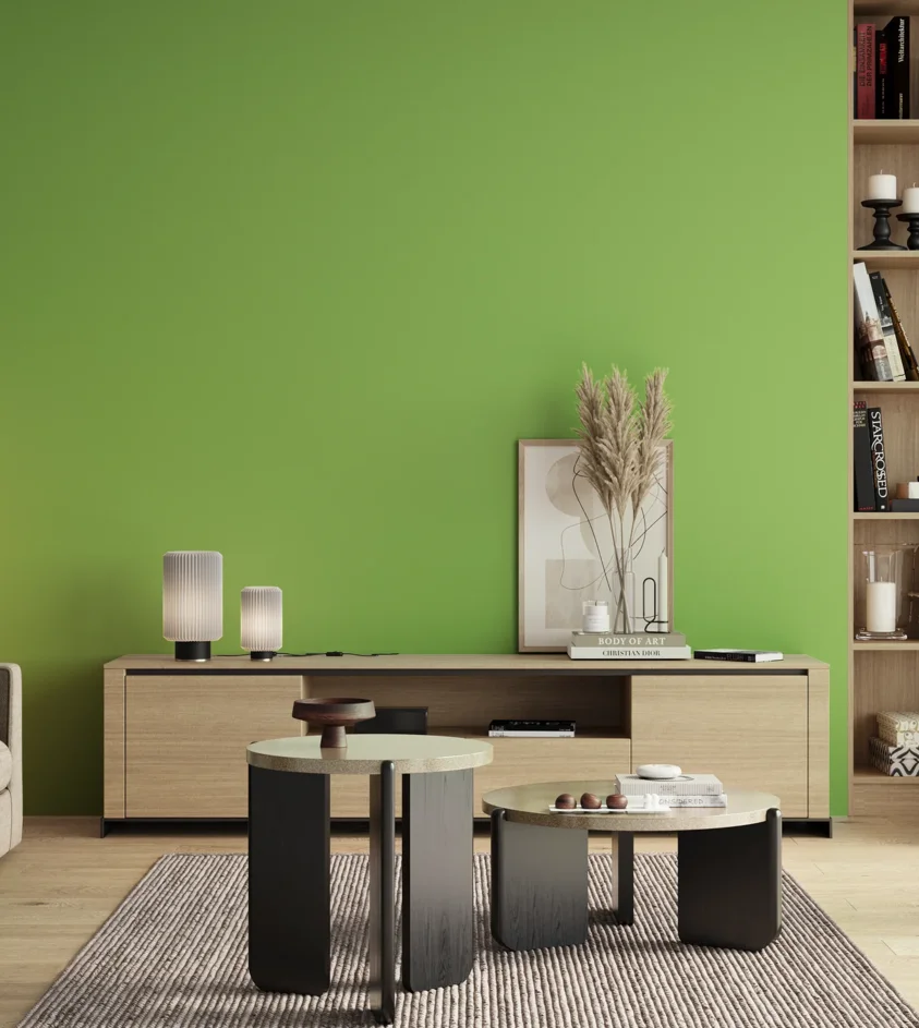 P10_SNIEZKA_salon_00_neutral_GREY_S0560-G30Y