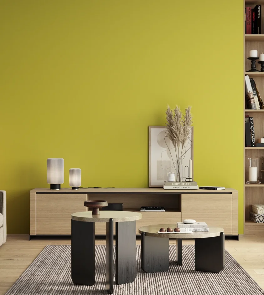 P10_SNIEZKA_salon_00_neutral_GREY_S0560-G80Y