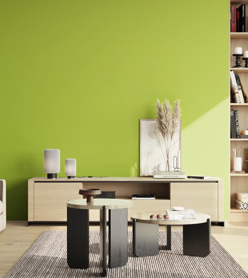 P10_SNIEZKA_salon_02_poludnie_GREY_S0565-G50Y