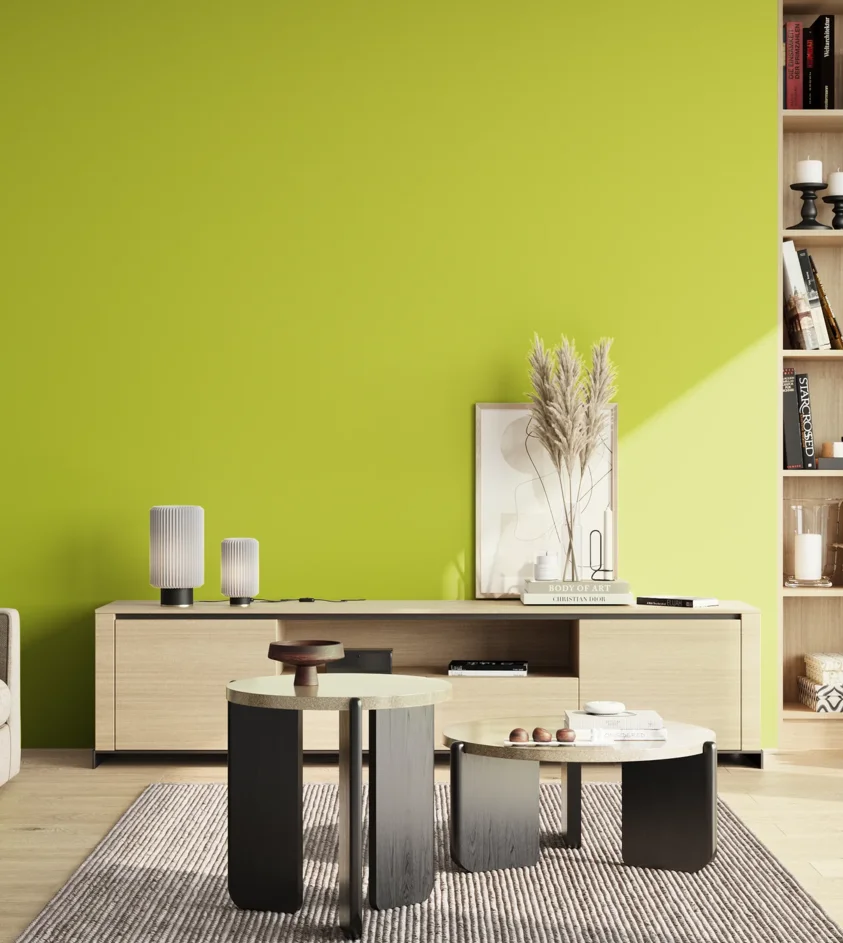P10_SNIEZKA_salon_02_poludnie_GREY_S0570-G60Y