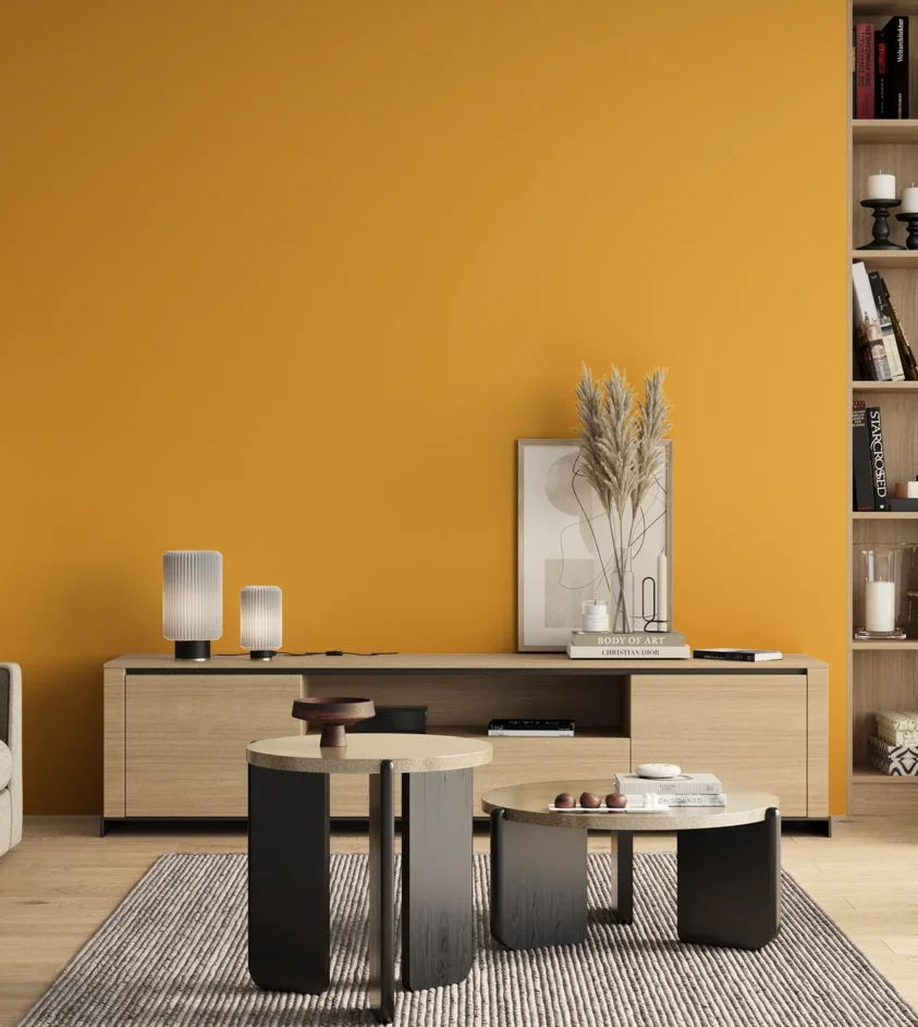 P10_SNIEZKA_salon_00_neutral_GREY_S0570-Y20R