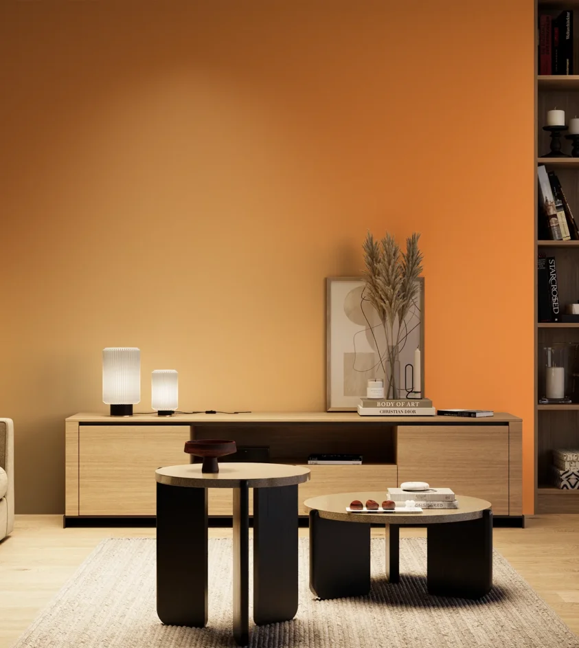 P10_SNIEZKA_salon_04_cieple_GREY_S0570-Y40R