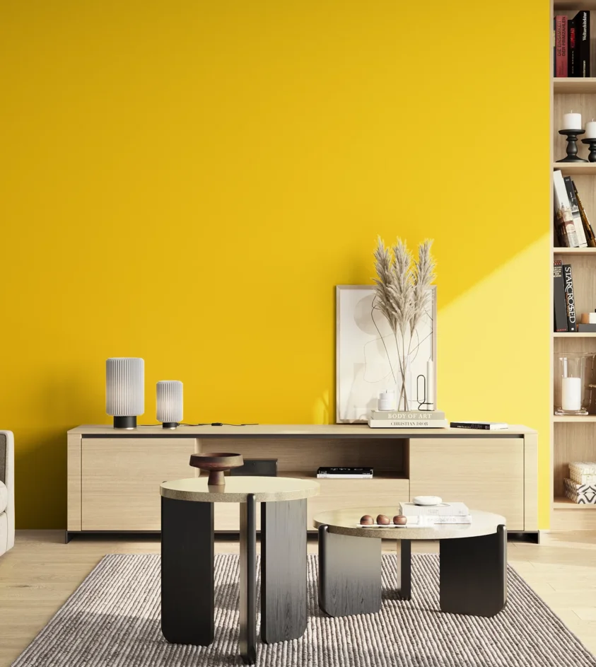 P10_SNIEZKA_salon_02_poludnie_GREY_S0580-Y