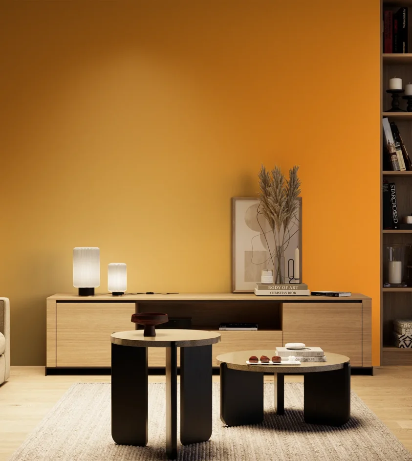 P10_SNIEZKA_salon_04_cieple_GREY_S0580-Y30R