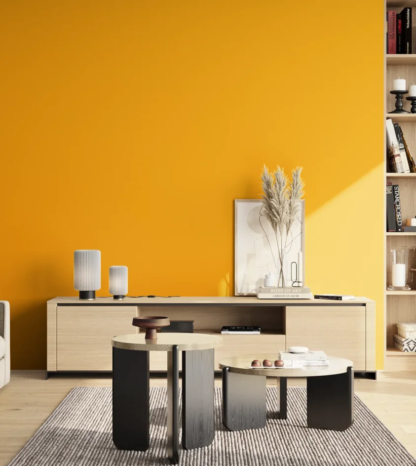 P10_SNIEZKA_salon_02_poludnie_GREY_S0585-Y20R