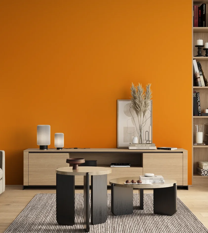 P10_SNIEZKA_salon_00_neutral_GREY_S0585-Y30R