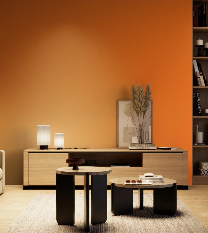 P10_SNIEZKA_salon_04_cieple_GREY_S0585-Y50R