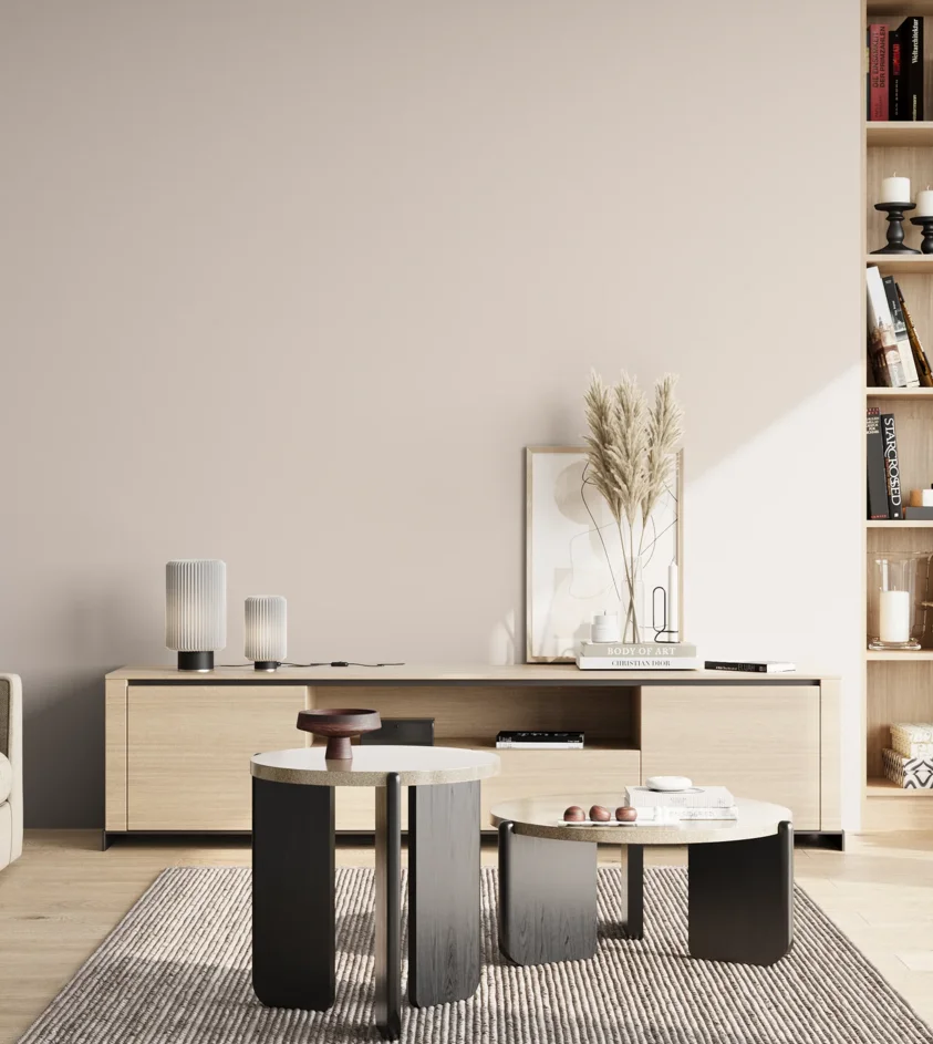 P10_SNIEZKA_salon_02_poludnie_GREY_S0804-Y90R
