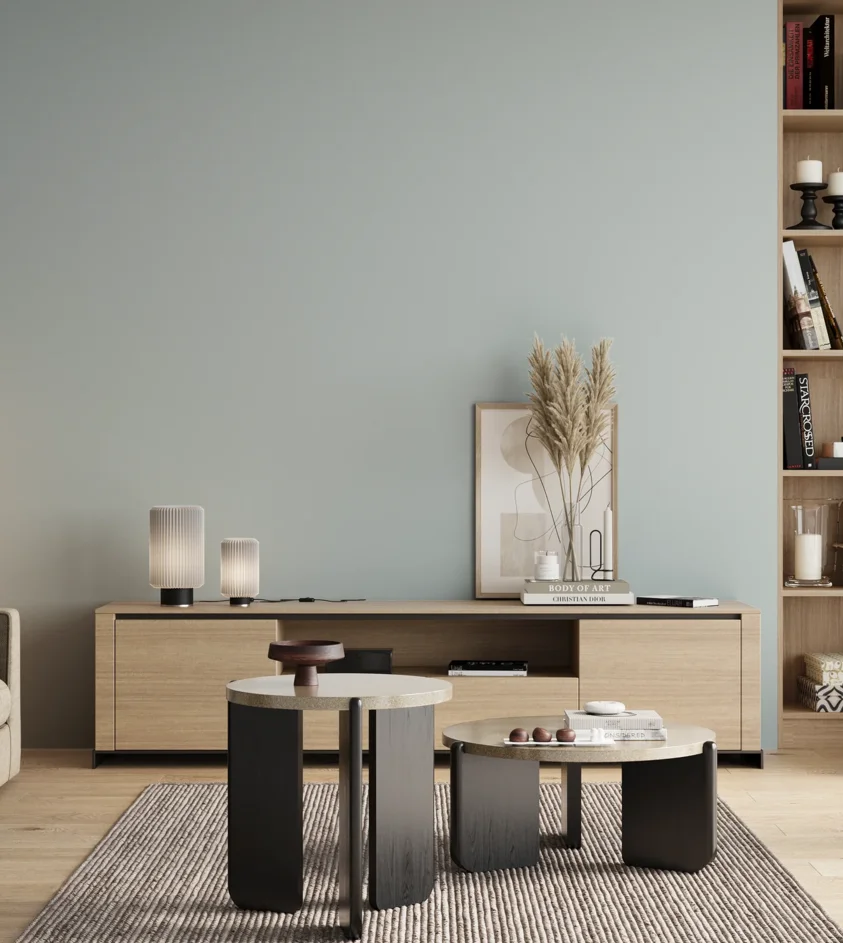 P10_SNIEZKA_salon_00_neutral_GREY_S0907-B20G