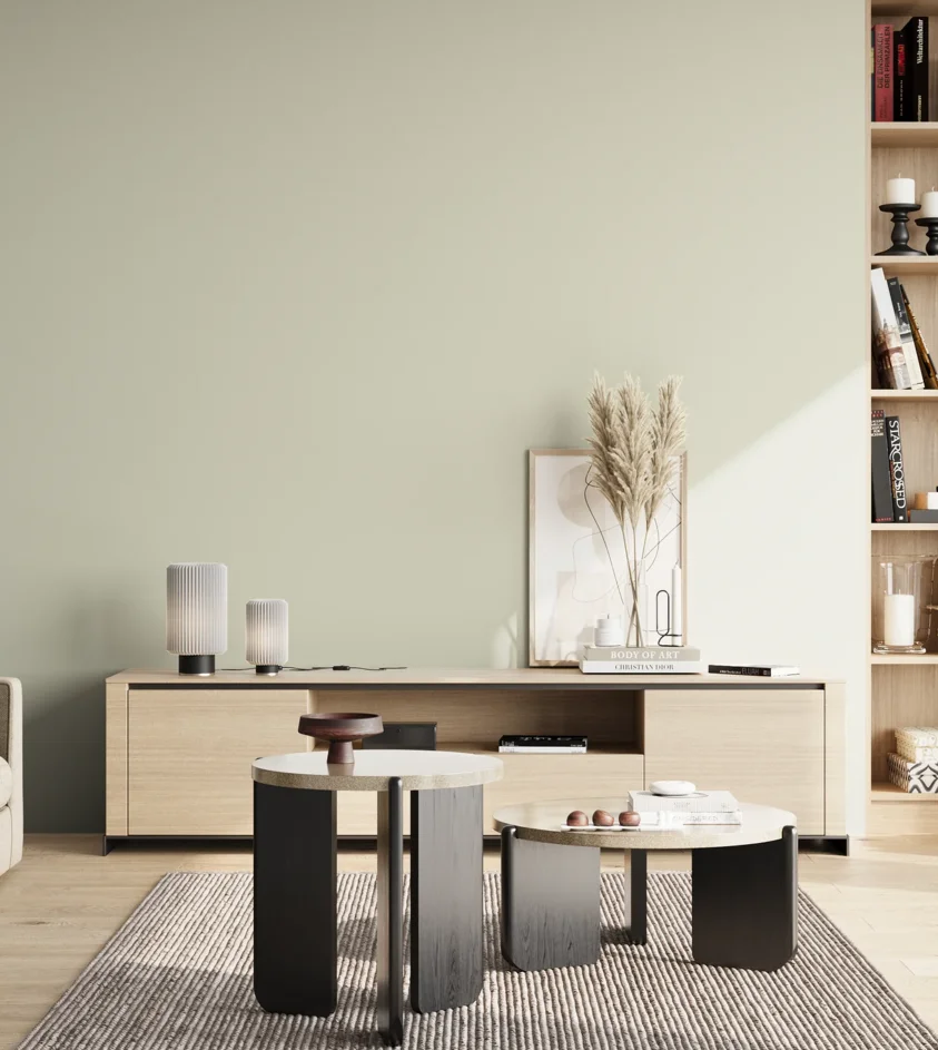P10_SNIEZKA_salon_02_poludnie_GREY_S1005-G60Y