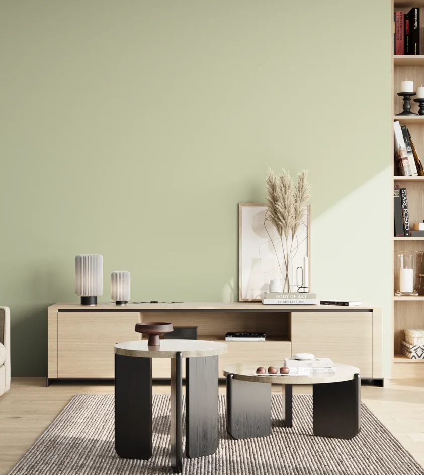 P10_SNIEZKA_salon_02_poludnie_GREY_S1010-G50Y
