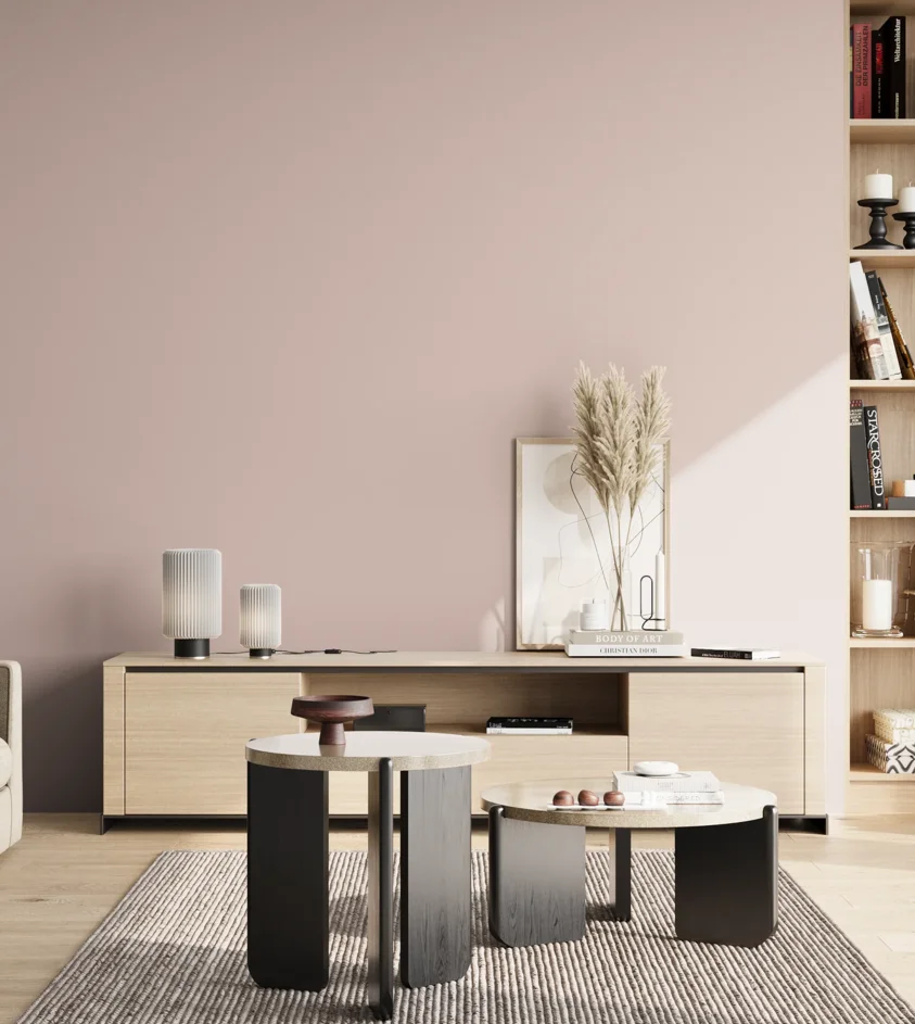P10_SNIEZKA_salon_02_poludnie_GREY_S1010-R