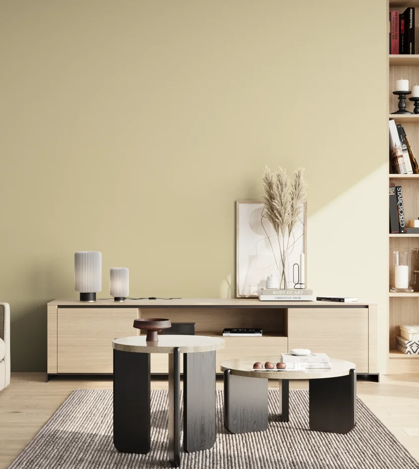 P10_SNIEZKA_salon_02_poludnie_GREY_S1010-Y