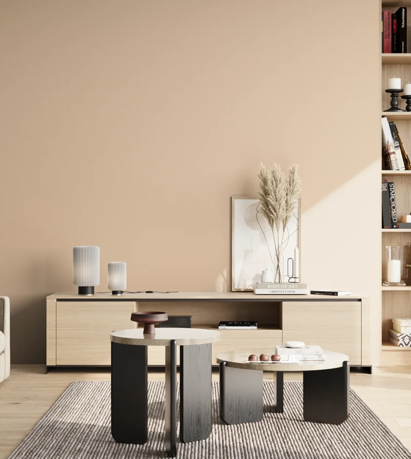 P10_SNIEZKA_salon_02_poludnie_GREY_S1010-Y50R