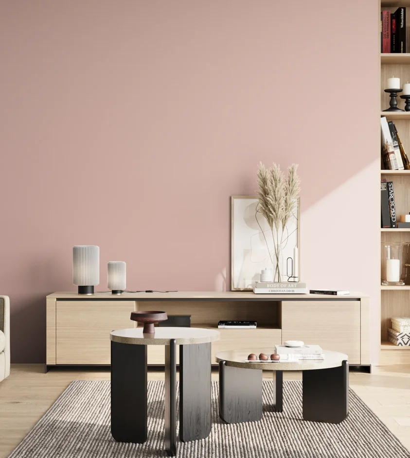 P10_SNIEZKA_salon_02_poludnie_GREY_S1015-R