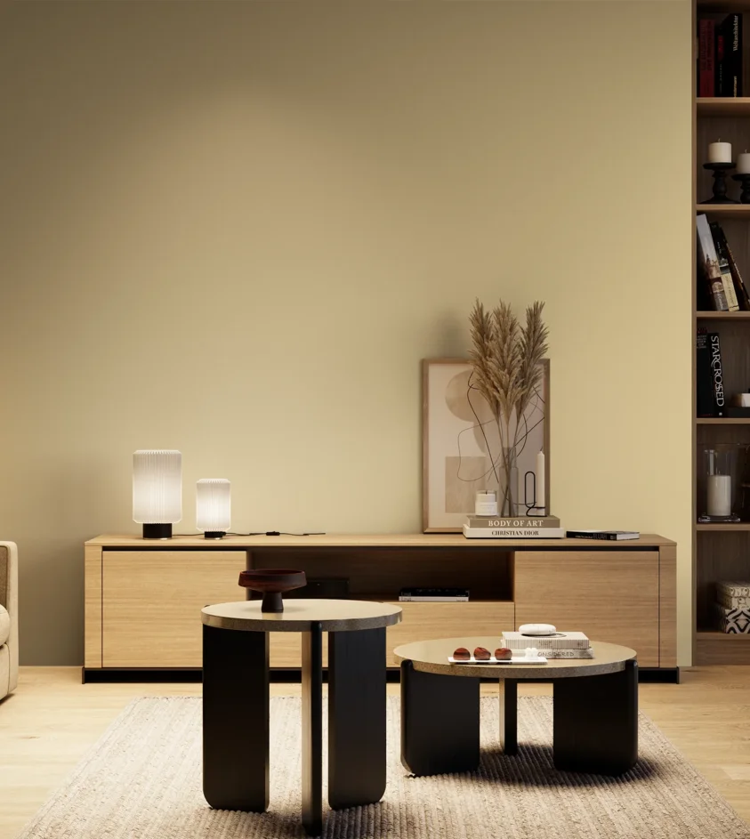 P10_SNIEZKA_salon_04_cieple_GREY_S1015-Y10R