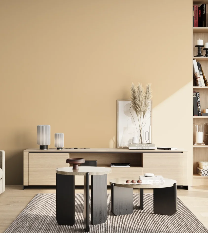 P10_SNIEZKA_salon_02_poludnie_GREY_S1015-Y30R