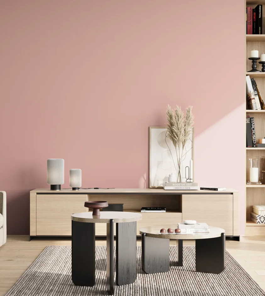 P10_SNIEZKA_salon_02_poludnie_GREY_S1020-R