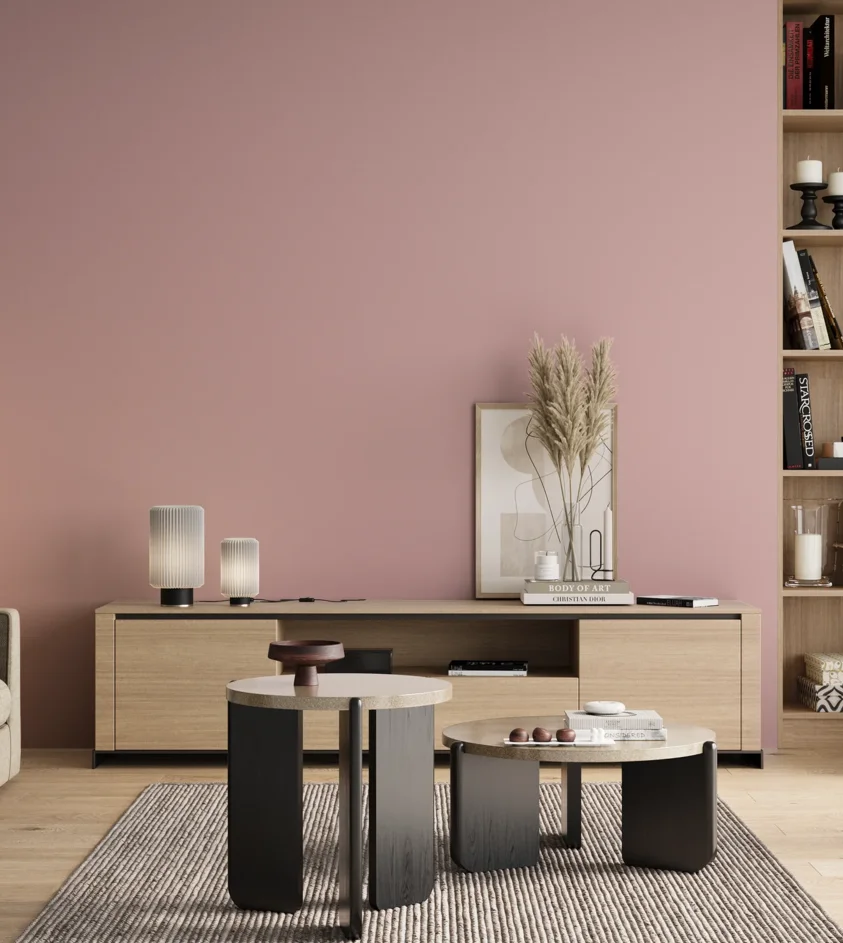 P10_SNIEZKA_salon_00_neutral_GREY_S1020-R10B