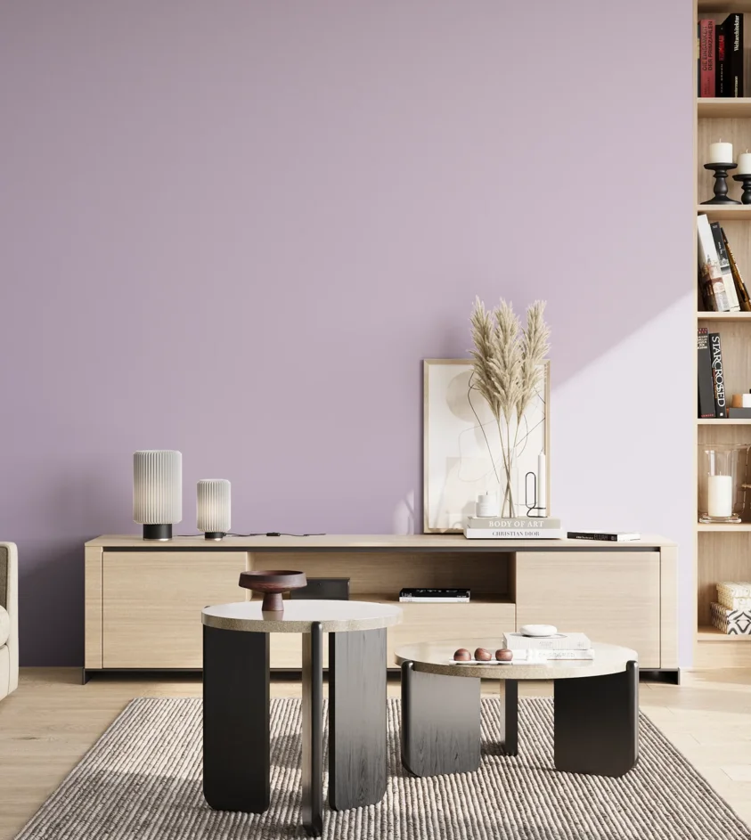 P10_SNIEZKA_salon_02_poludnie_GREY_S1020-R50B