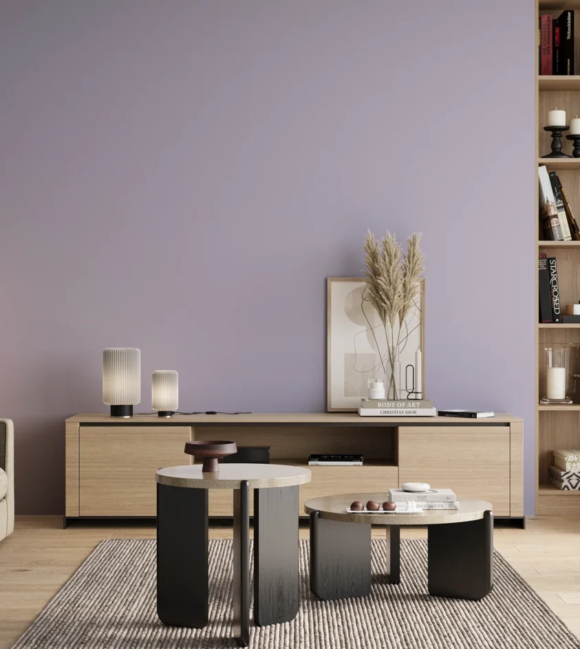 P10_SNIEZKA_salon_00_neutral_GREY_S1020-R60B