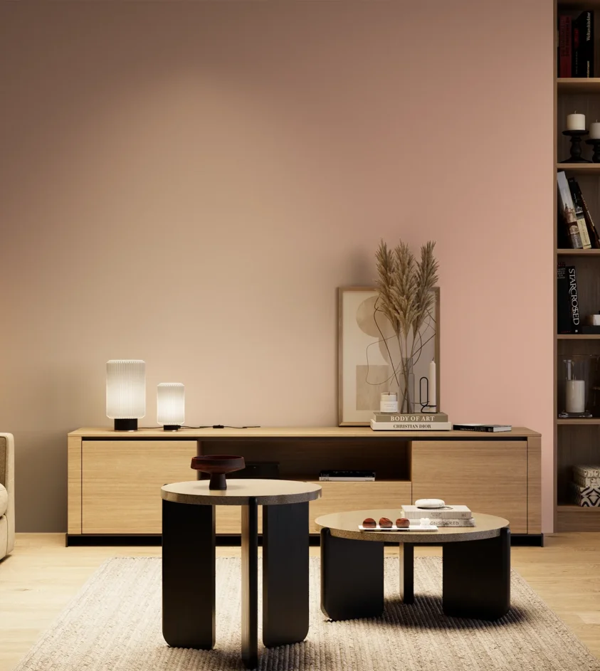 P10_SNIEZKA_salon_04_cieple_GREY_S1020-Y80R
