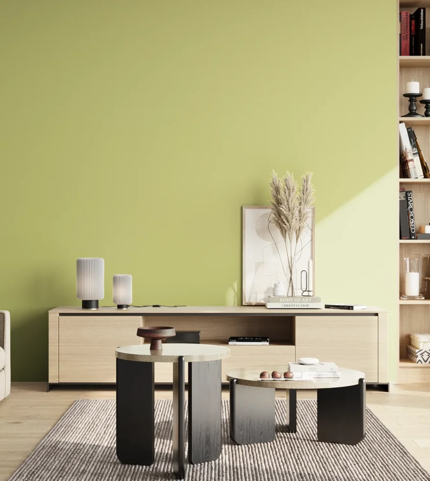 P10_SNIEZKA_salon_02_poludnie_GREY_S1030-G70Y