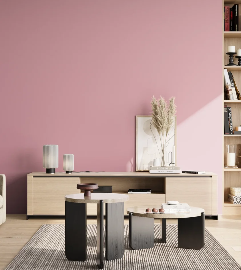 P10_SNIEZKA_salon_02_poludnie_GREY_S1030-R20B