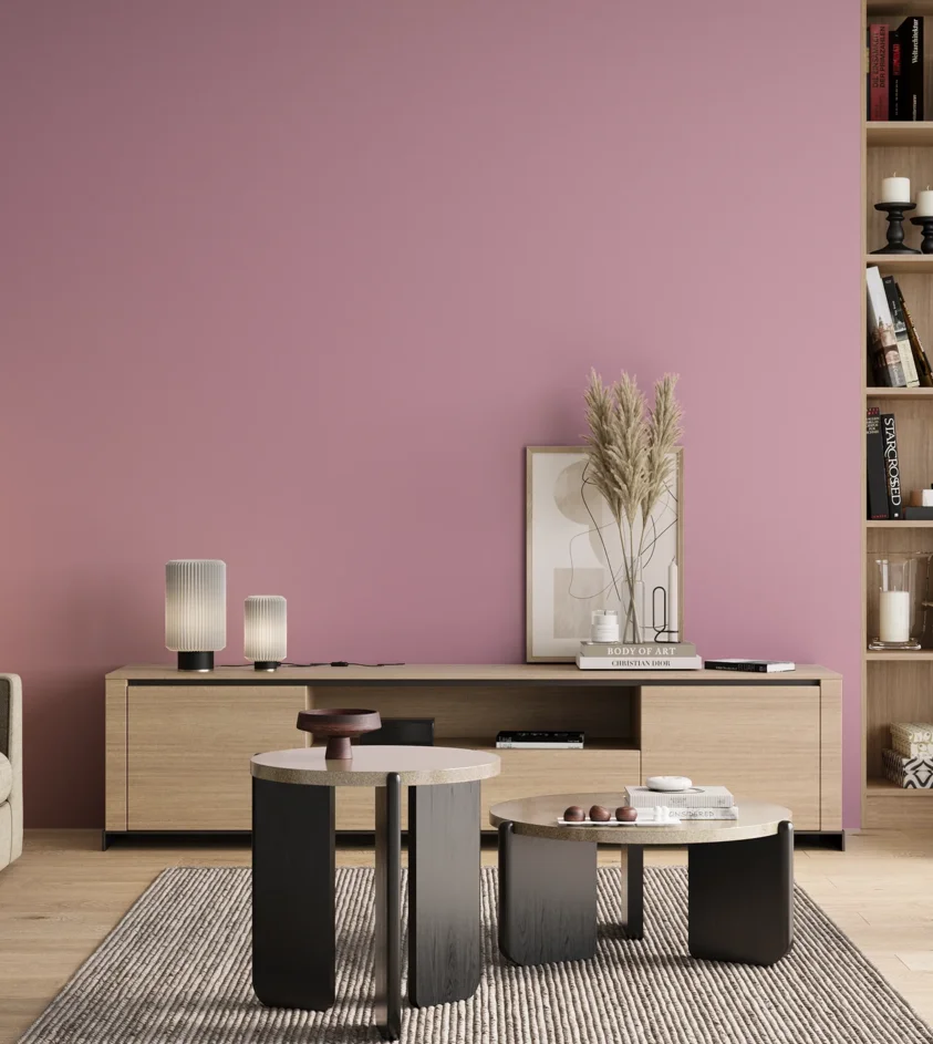 P10_SNIEZKA_salon_00_neutral_GREY_S1030-R30B