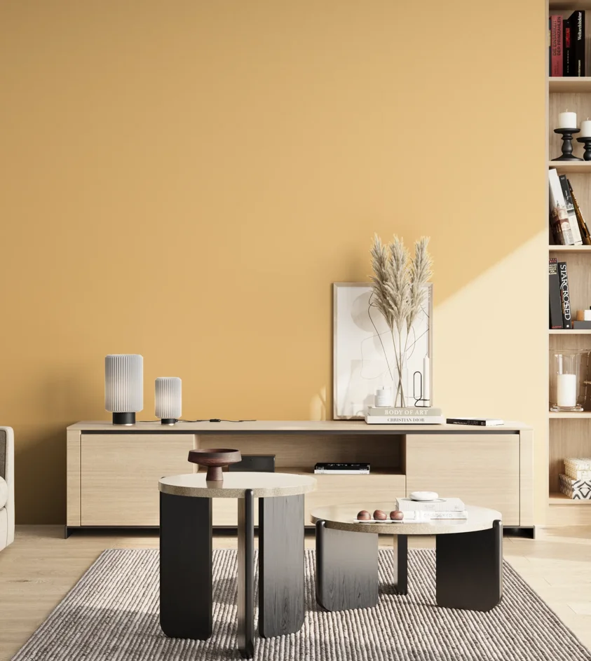 P10_SNIEZKA_salon_02_poludnie_GREY_S1030-Y20R