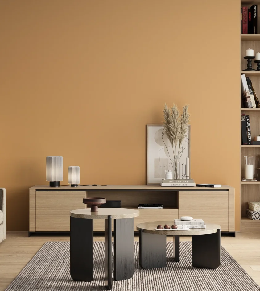 P10_SNIEZKA_salon_00_neutral_GREY_S1030-Y30R