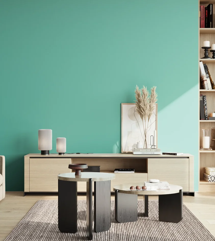 P10_SNIEZKA_salon_02_poludnie_GREY_S1040-B70G