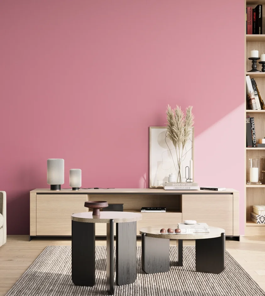 P10_SNIEZKA_salon_02_poludnie_GREY_S1040-R20B