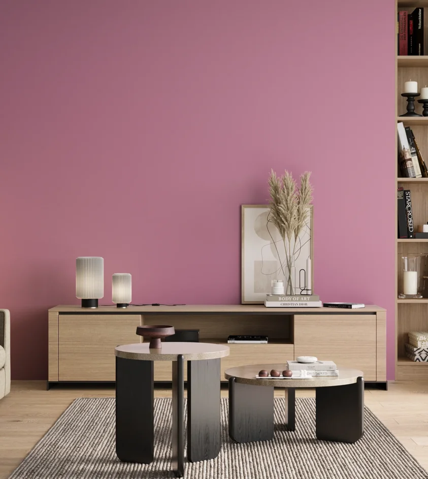 P10_SNIEZKA_salon_00_neutral_GREY_S1040-R30B
