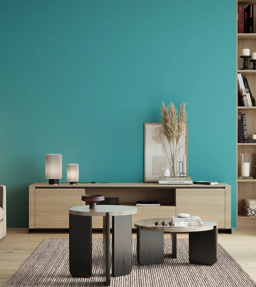 P10_SNIEZKA_salon_00_neutral_GREY_S1050-B30G