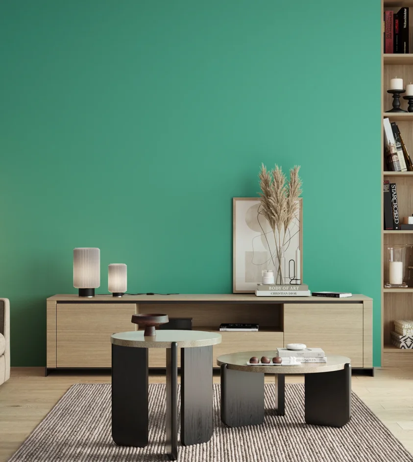 P10_SNIEZKA_salon_00_neutral_GREY_S1050-B80G
